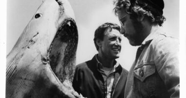 ‘Jaws’ Chowed Down On $16 Million In 50th Anniversary Re-Release