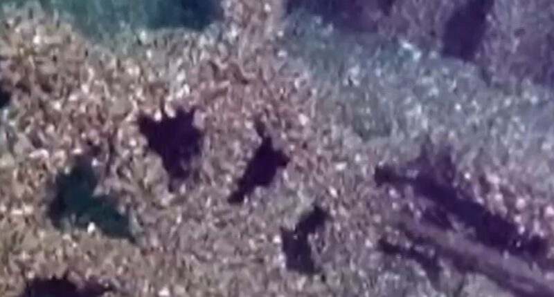 ‘Ghost ship’ missing since 1886 found in Lake Michigan