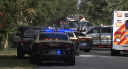 'Beyond tragic': 2-year-old dies after being hit by truck in Pinellas County neighborhood