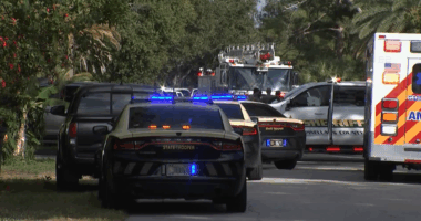 'Beyond tragic': 2-year-old dies after being hit by truck in Pinellas County neighborhood