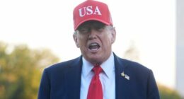 'Flatter him': The plan PM should follow in meeting with Trump