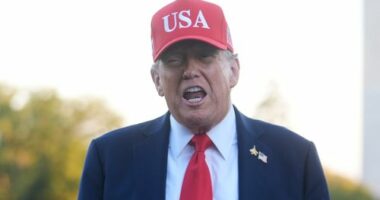 'Flatter him': The plan PM should follow in meeting with Trump
