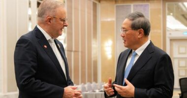Anthony Albanese said he has raised the incident during a meeting with Chinese Premier ﻿Li Qiang.