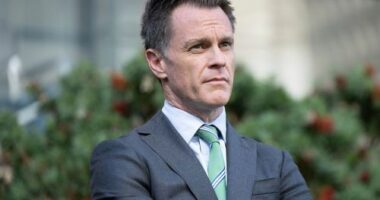 Premier Chris Minns at NSW Parliament on Thursday, where the NSW government announced new legislation to increase the minimum non-parole period in cases of intimate partner homicide. Thursday 16th October 2025. Photo: Sitthixay Ditthavong