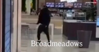 Two groups fought in a car park at Broadmeadows Central﻿ in the city's north at 7.20pm yesterday﻿ before continuing the clash inside.