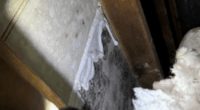 'It's outrageous': Rep. Castor speaks on MacDill AFB mold following new lawsuit