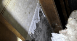'It's outrageous': Rep. Castor speaks on MacDill AFB mold following new lawsuit