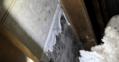 'It's outrageous': Rep. Castor speaks on MacDill AFB mold following new lawsuit