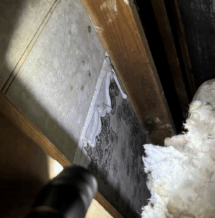 'It's outrageous': Rep. Castor speaks on MacDill AFB mold following new lawsuit