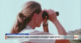 'It's up to us'; U of I professor remembers Jane Goodall