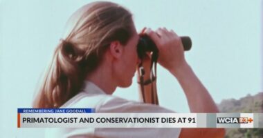 'It's up to us'; U of I professor remembers Jane Goodall