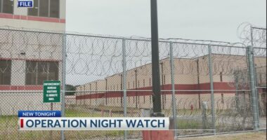 'Level 3 sex offenders' in Chatham County must report to sheriff’s office on Halloween