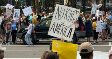 'No Kings' protests draws hundreds in Tampa