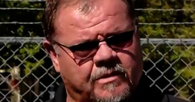'No survivors' found at Tennessee explosives plant