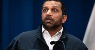 'Potential terrorist attack' in Michigan thwarted: FBI