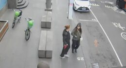 'She's still very scared when she's in public': Family of Melbourne stabbing victim speak out