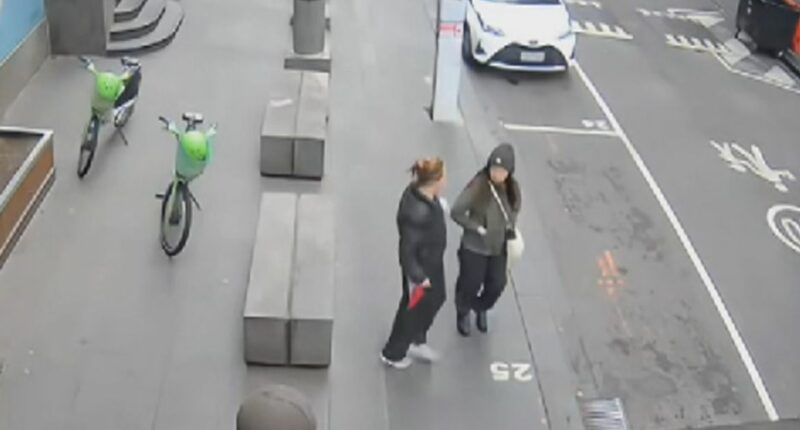 'She's still very scared when she's in public': Family of Melbourne stabbing victim speak out