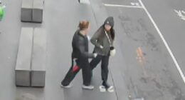 CCTV footage has shown the moment a woman was randomly stabbed in broad daylight while walking to work at a sushi restaurant in Melbourne's CBD. ï»¿