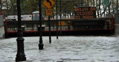 13 years post Sandy, NYC still needs protection