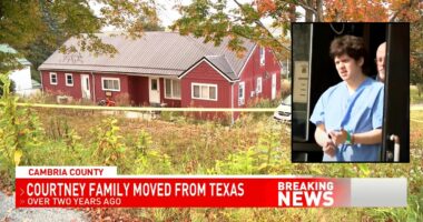 14-year-old stabbed parent, another woman to death: Police
