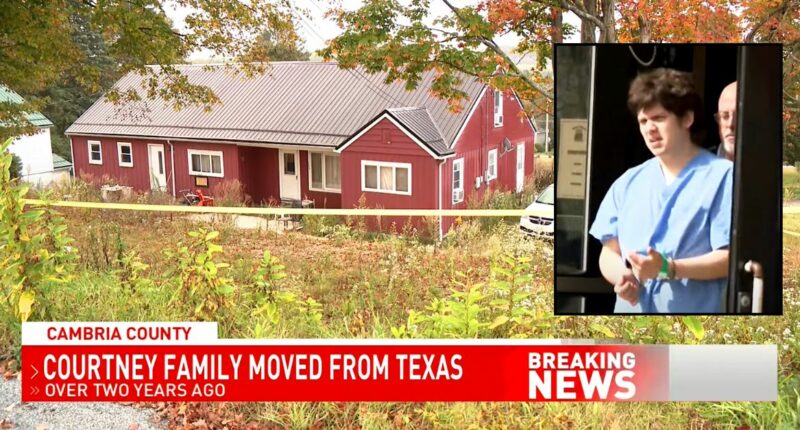 14-year-old stabbed parent, another woman to death: Police