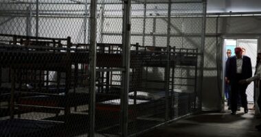 DOJ contradicts DeSantis: Some detainees at 'Alligator Alcatraz' likely never in removal proceedings