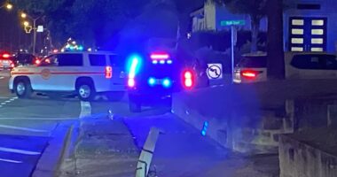 2 people, dog found dead inside Neptune Beach home: police