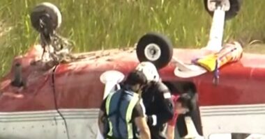 2 rescued after small plane crashes in Florida