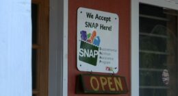 260K households in South Carolina may lose SNAP benefits next month if shutdown continues