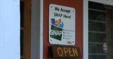 260K households in South Carolina may lose SNAP benefits next month if shutdown continues