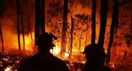 CFA crews monitor bushfires and begin back burns between the towns of Orbost and Lakes Entrance in east Gipplsland  on January 02, 2020 in Australia.