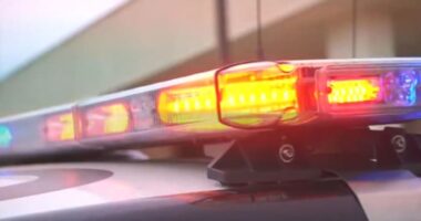 5 vehicles involved in rollover crash into Holly Hill home