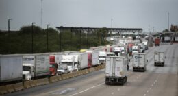 5,500 truckers fail English skills test, lose driving privileges in US, industry leader says