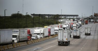 5,500 truckers fail English skills test, lose driving privileges in US, industry leader says