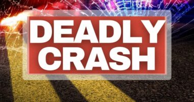 76-year-old dies after crash in Saluda County