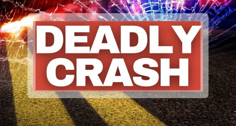 76-year-old dies after crash in Saluda County