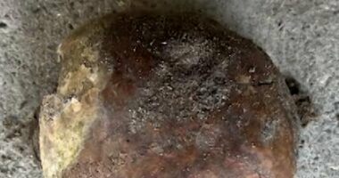 A 4,270-year-old human skull has been found in Indiana