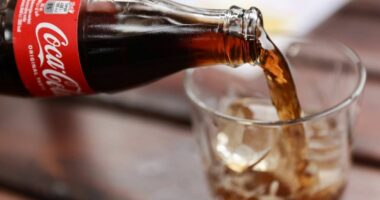 A can of cola 'takes 12 minutes off your life' but it's not the worst, say scientists