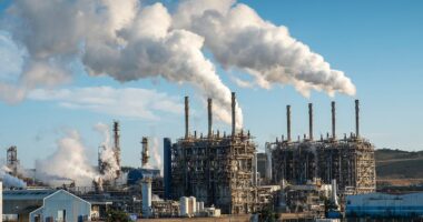 A petro-chemical giant has been fined £176,000 for six days of flaring