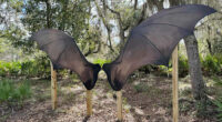 A trail of wings and nature in Volusia County expands with bat wing mural for picture-taking