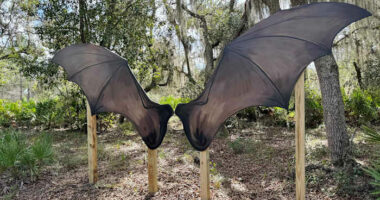 A trail of wings and nature in Volusia County expands with bat wing mural for picture-taking