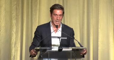 ABC's 'World News Tonight' anchor David Muir honored by Temple University