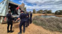 ADF to join search for missing boy Gus in remote SA
