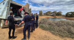 ADF to join search for missing boy Gus in remote SA