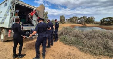 ADF to join search for missing boy Gus in remote SA