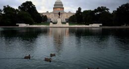 AP reader question: How might the federal shutdown affect the economy?