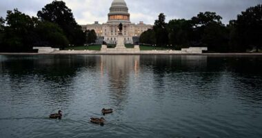 AP reader question: How might the federal shutdown affect the economy?