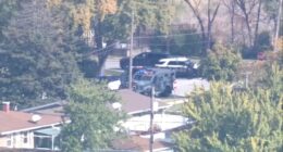 Addison shooting: 1 in custody after shots fired at police, standoff on East La Porte Drive cause shelter-in-place, officials say