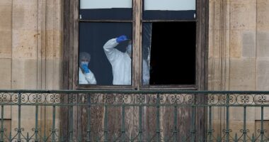 Agent who probed biggest art theft in history discusses Louvre heist