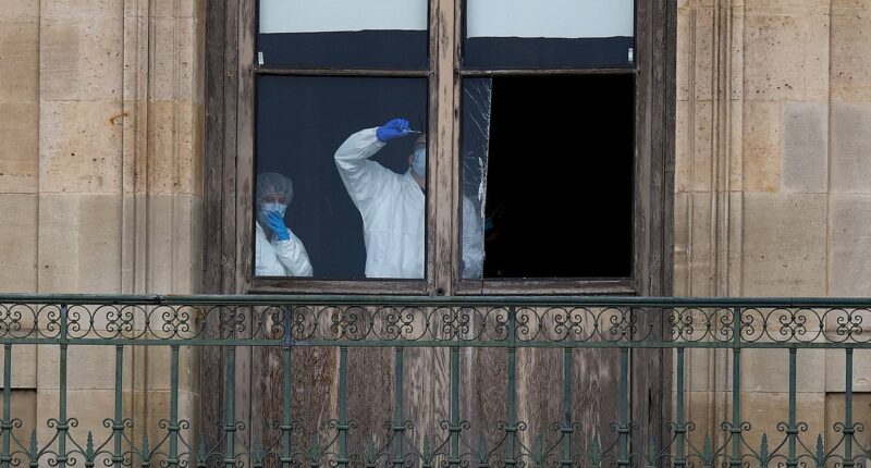 Agent who probed biggest art theft in history discusses Louvre heist